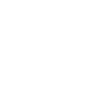 Ludlow Castle Logo
