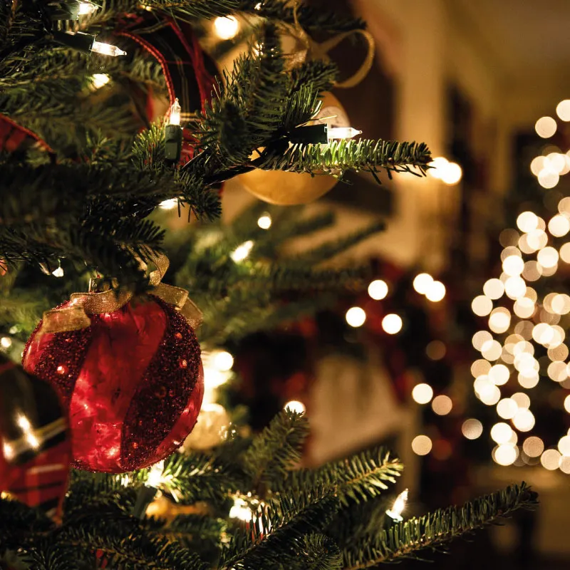 The Boot Inn - Christmas 