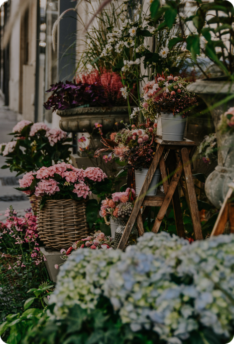 Flowers outside a flower shop.