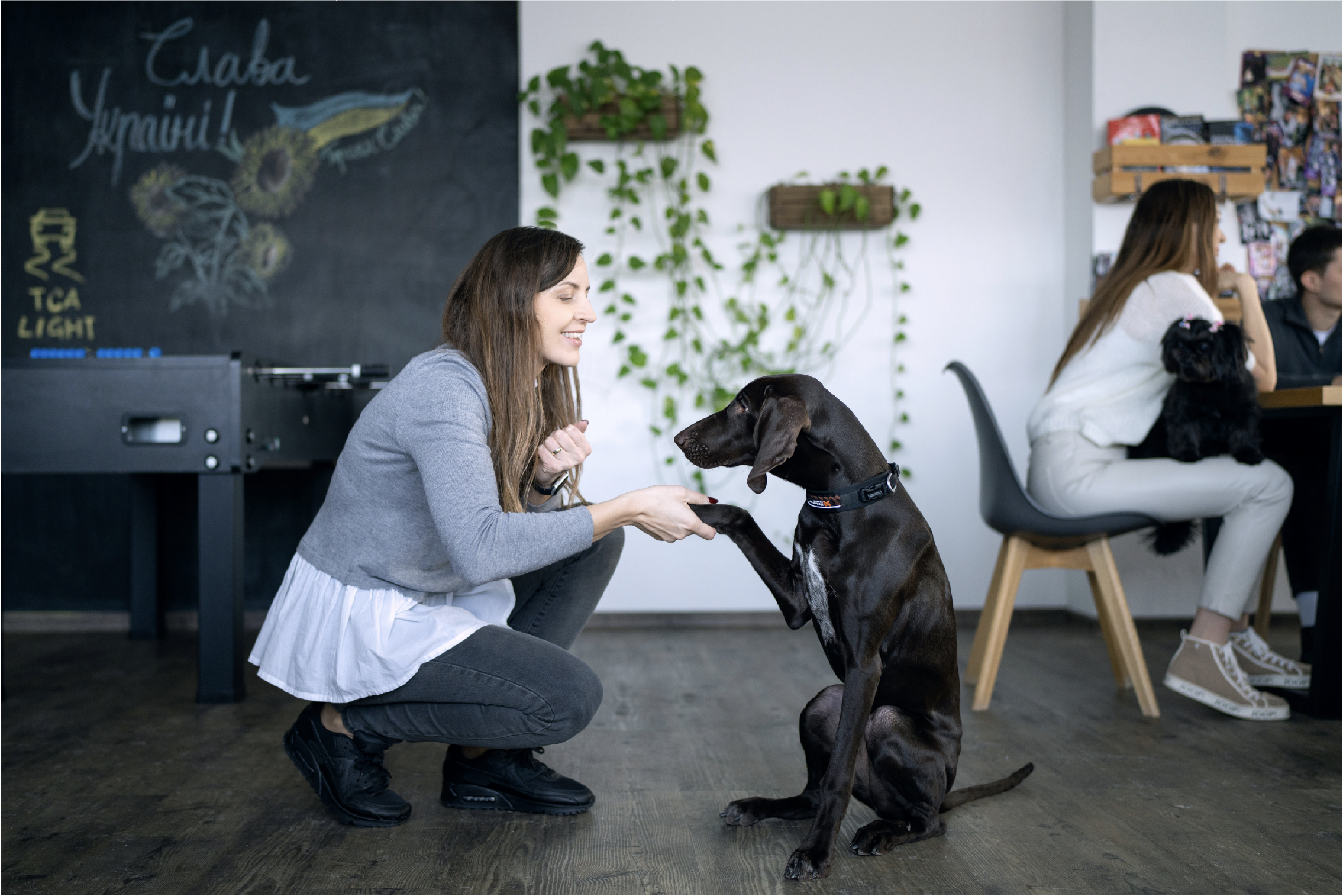 A Quadigi employee shaking hands with a puppy at the office