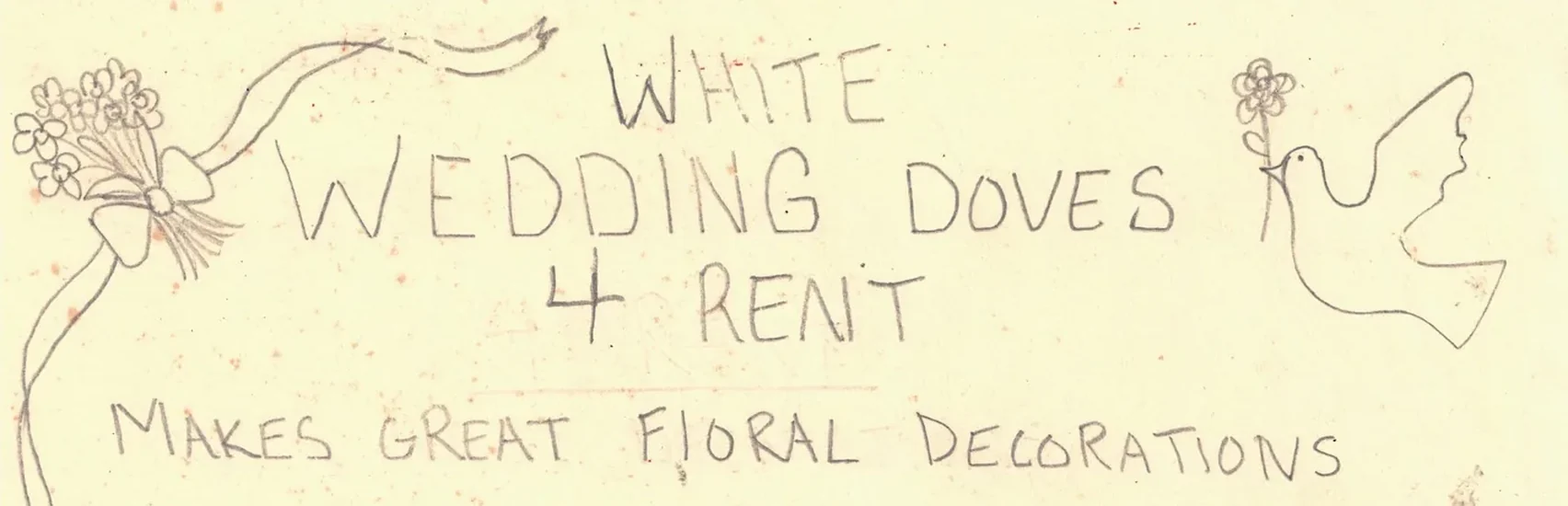 The top of Cody's hand-drawn flyer: White Wedding Doves 4 Rent. Makes great floral decorations.