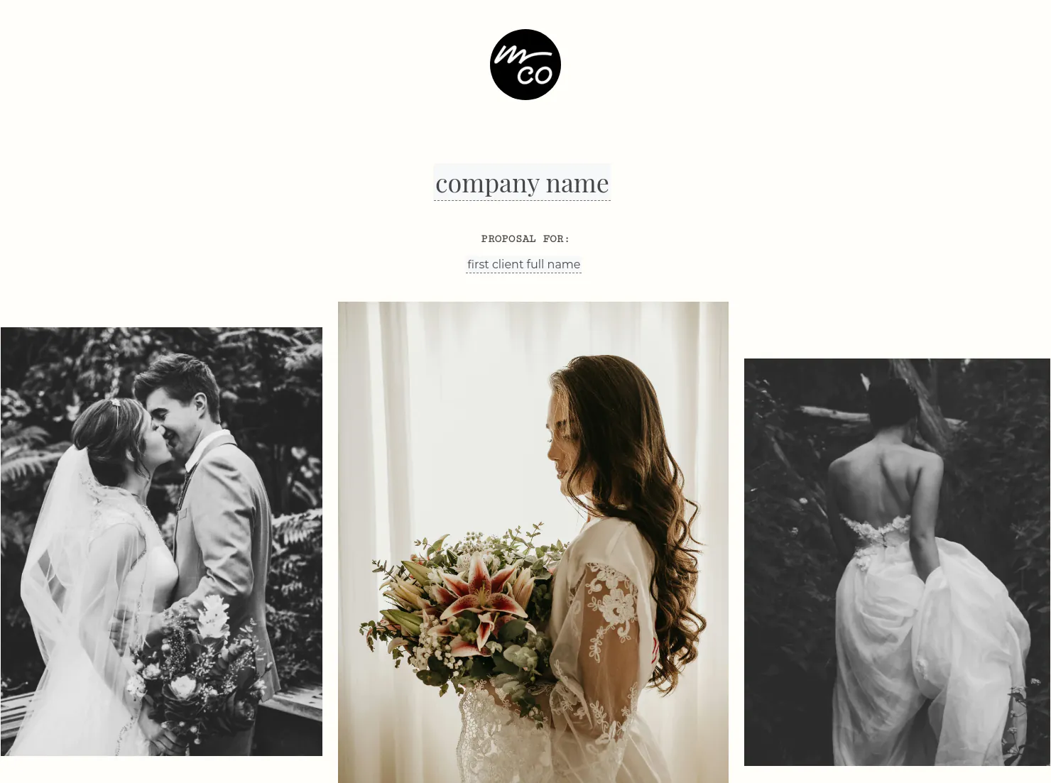 Proposal for Wedding Photographers