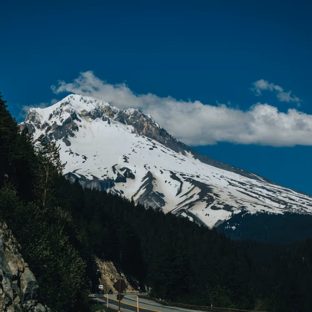 A snow covered mountain in the distance with trees on the side.