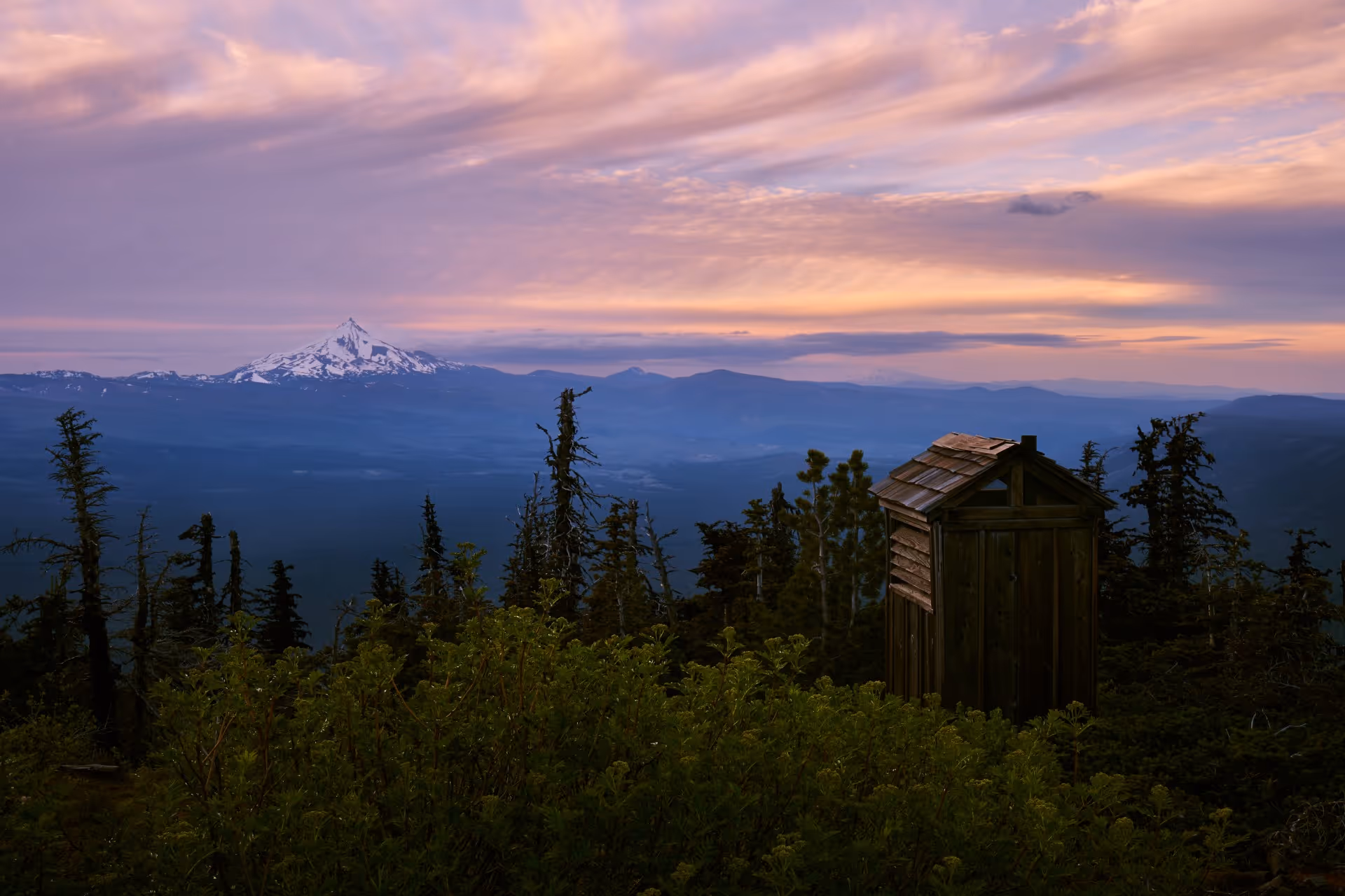 A wooden outhouse in the middle of a forest.