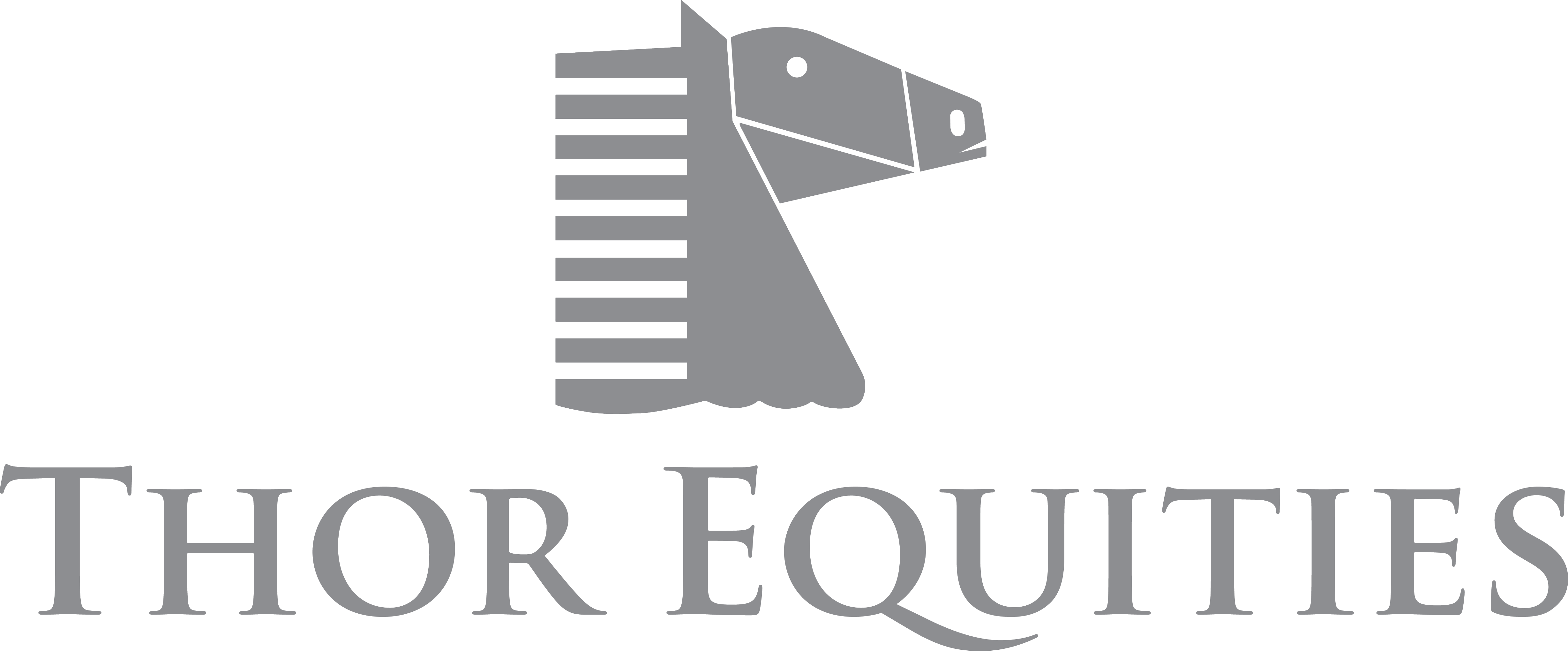 MSOUTH Equity Partners logo, image