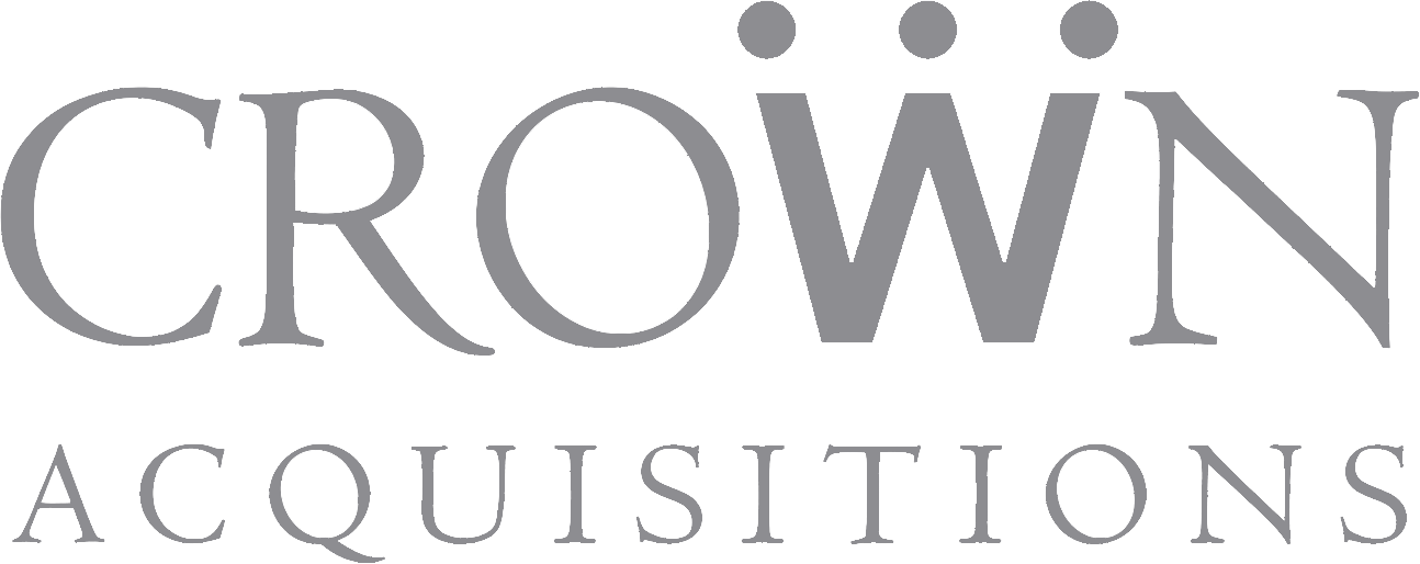 AE Industrial Partners logo, image