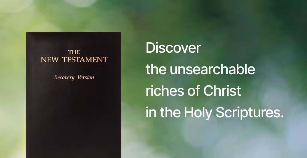 An image of The New Testament bible recovery version