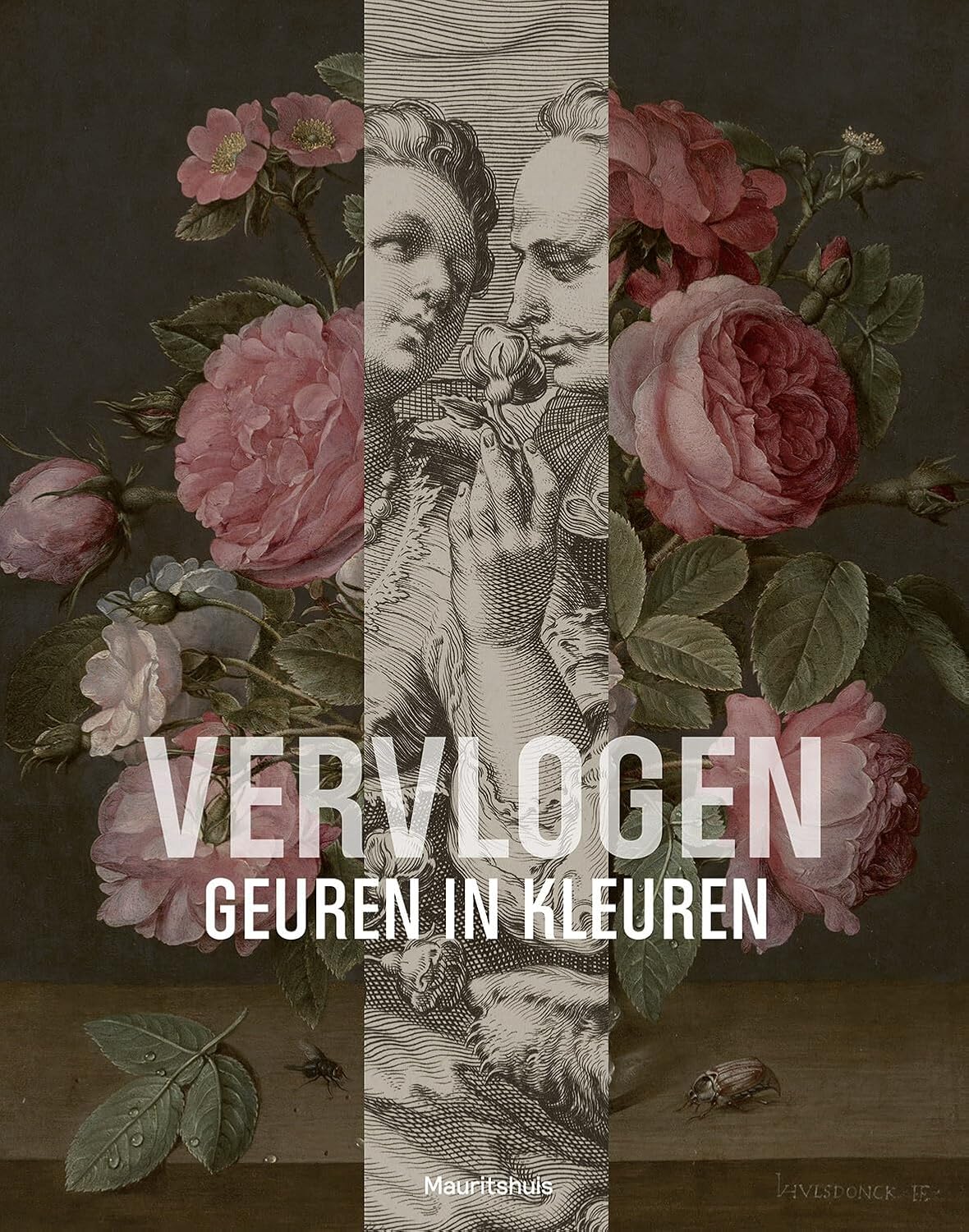 Familien-Vlogs Buch