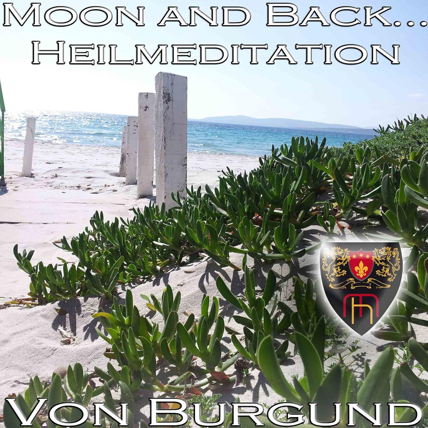 Online-Meditationskurse
