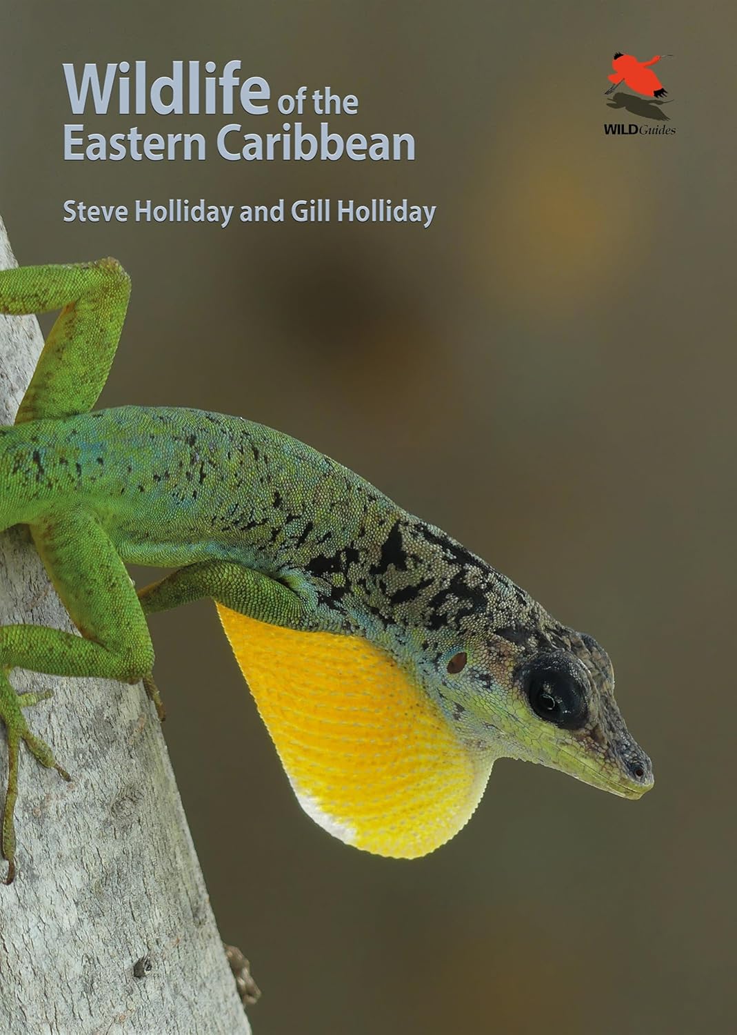 Nature Wildlife Guide
