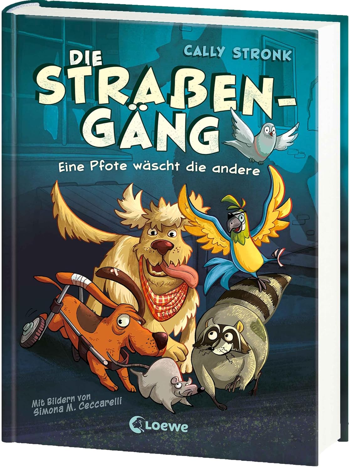 Abenteuerbuch Kinder