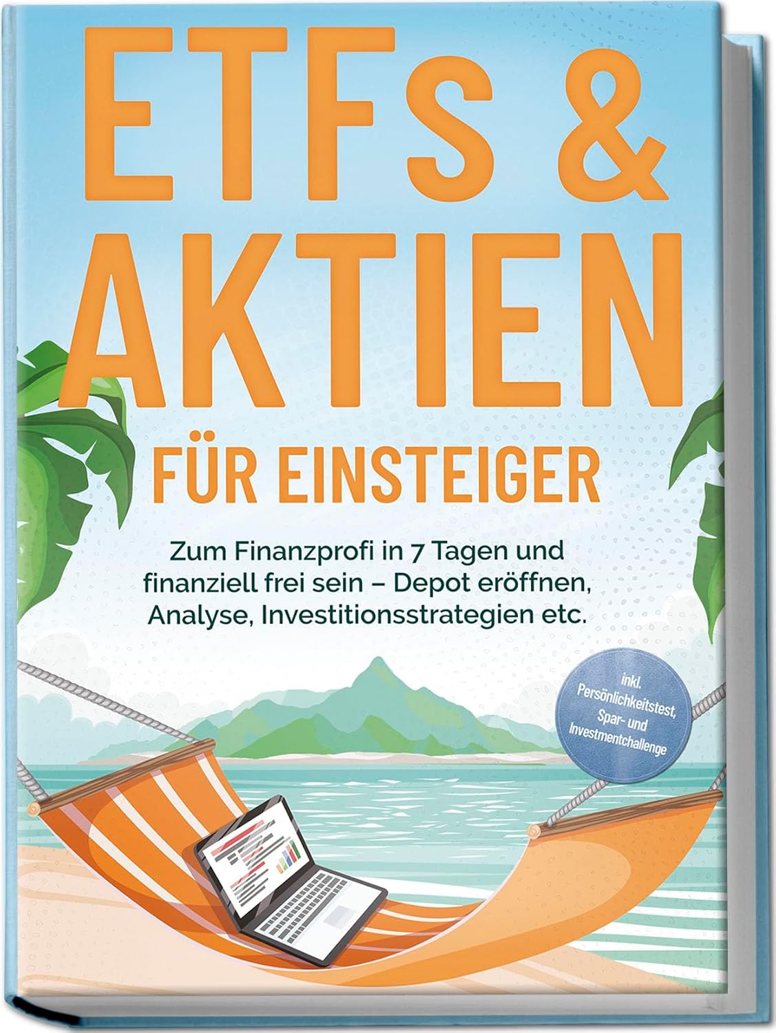 Investitionsstrategien Buch