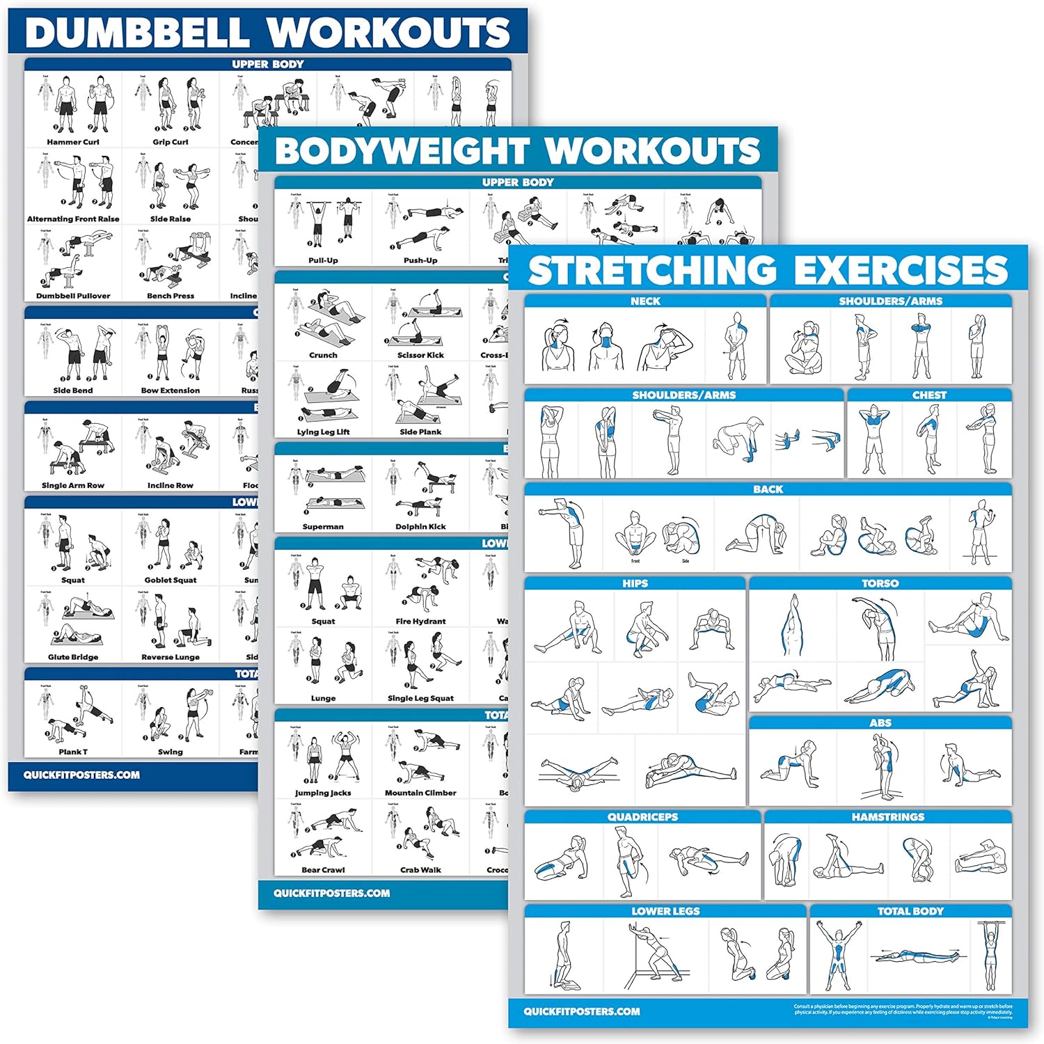 Trainings Charts Fitness