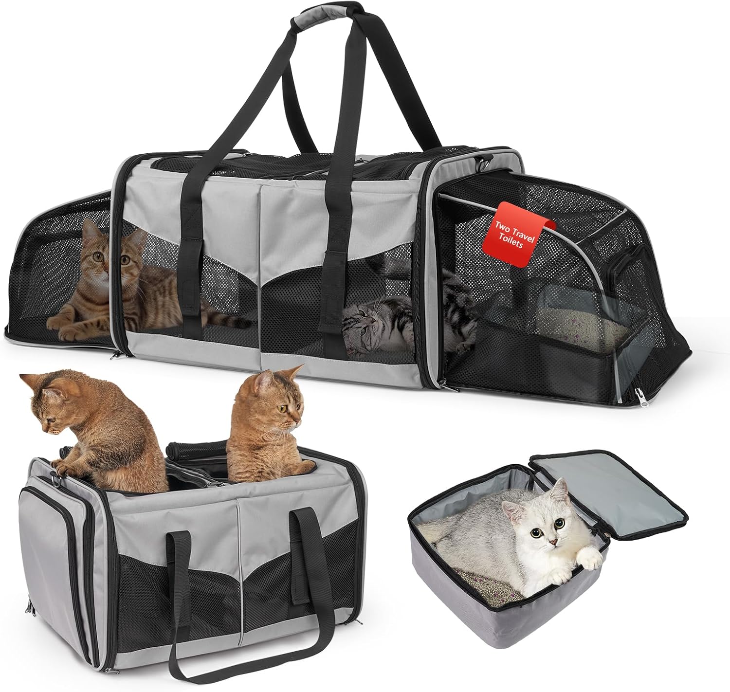 Katzentransportbox