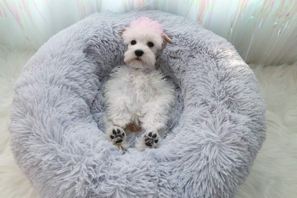 Katzenbett luxuriös