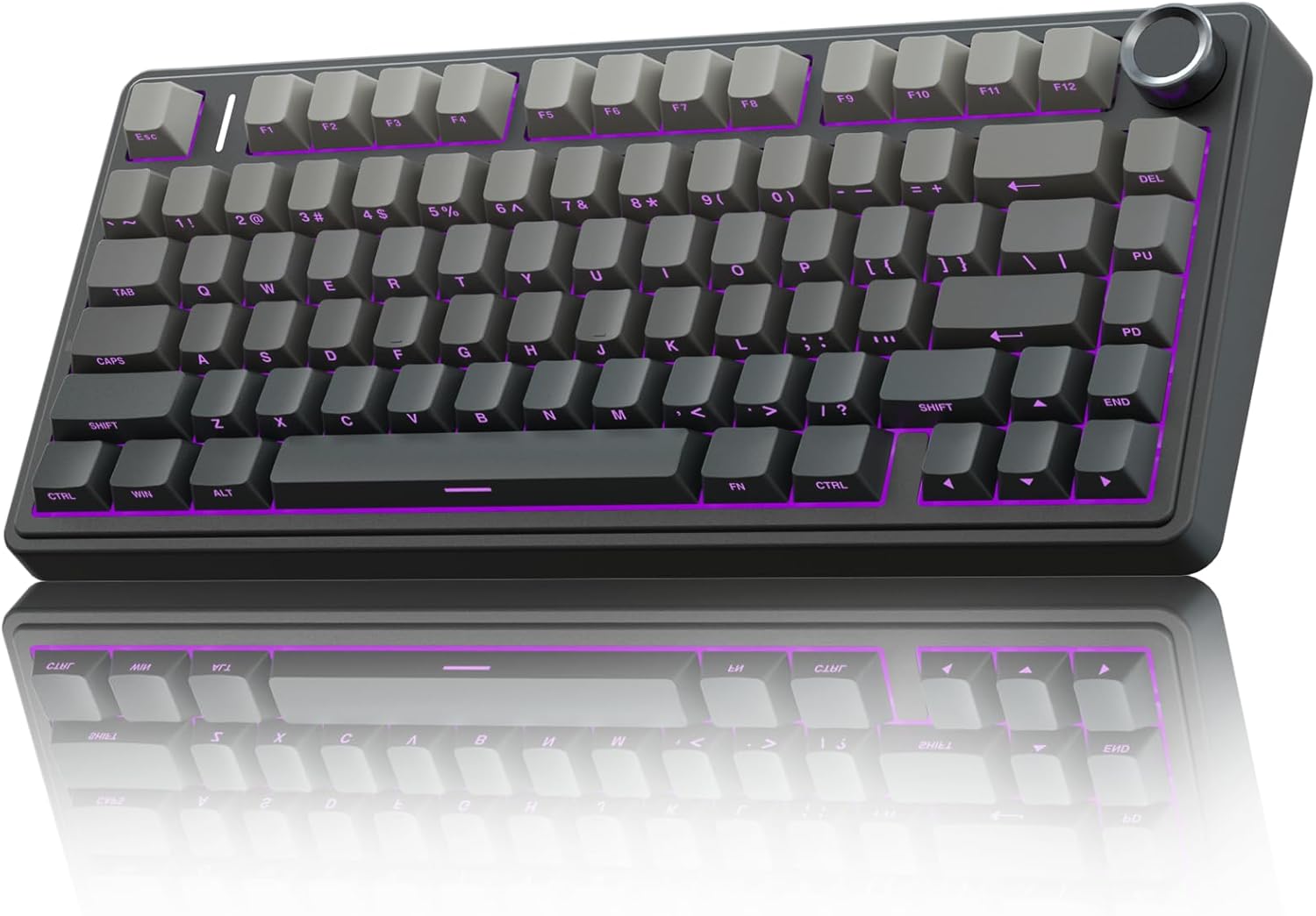 Gaming Hardware