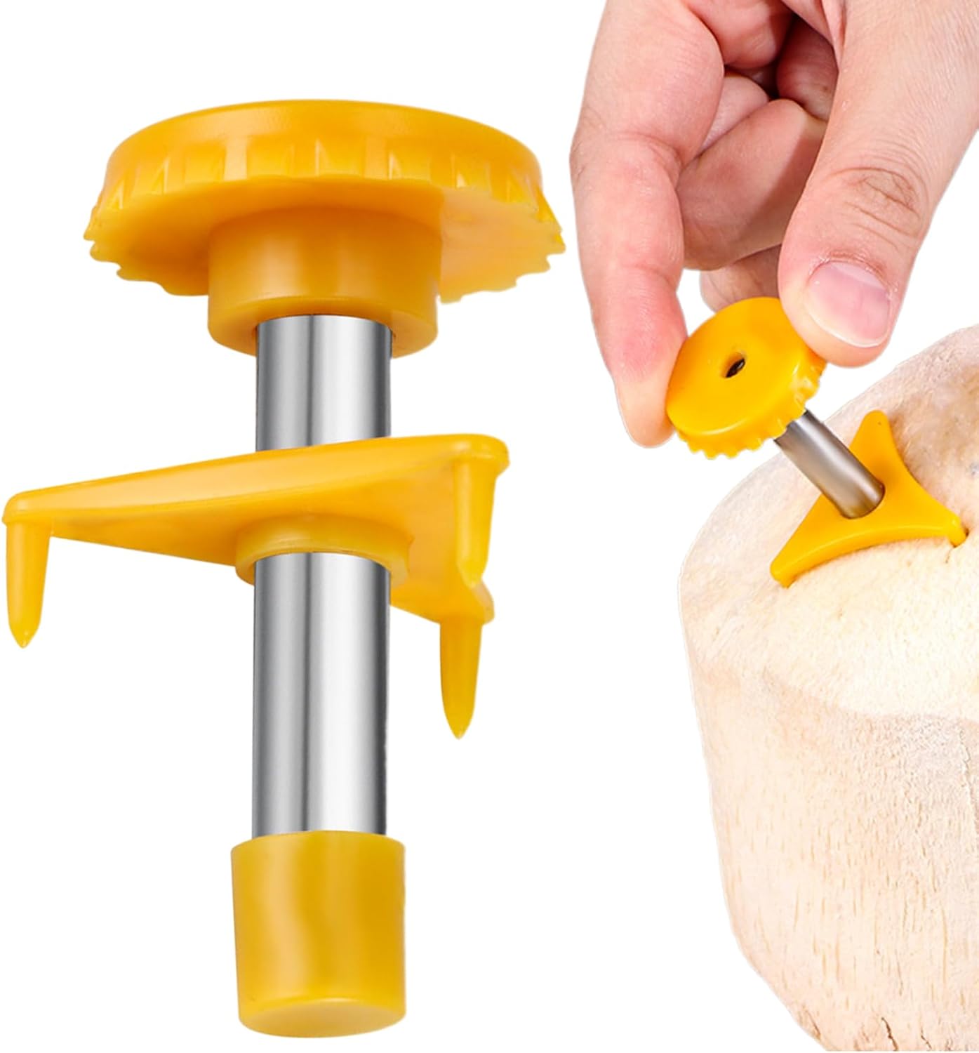 Kokosnussknacker