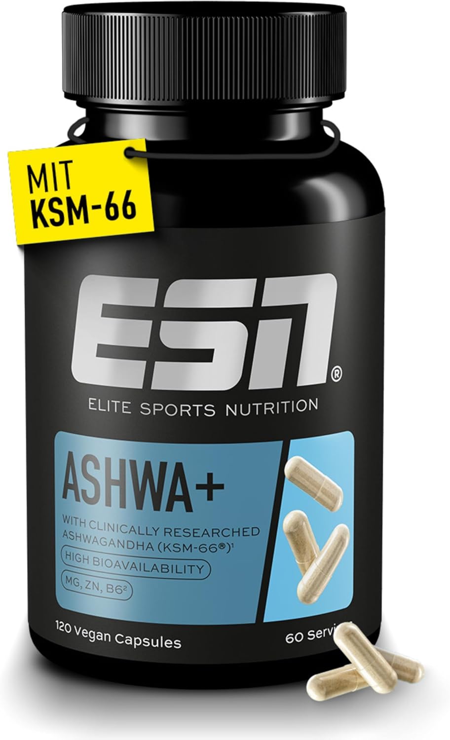 Fitness Supplements