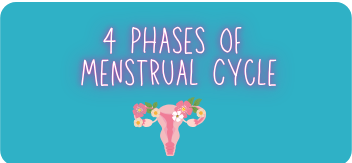 4 Phases of a Menstrual Cycle