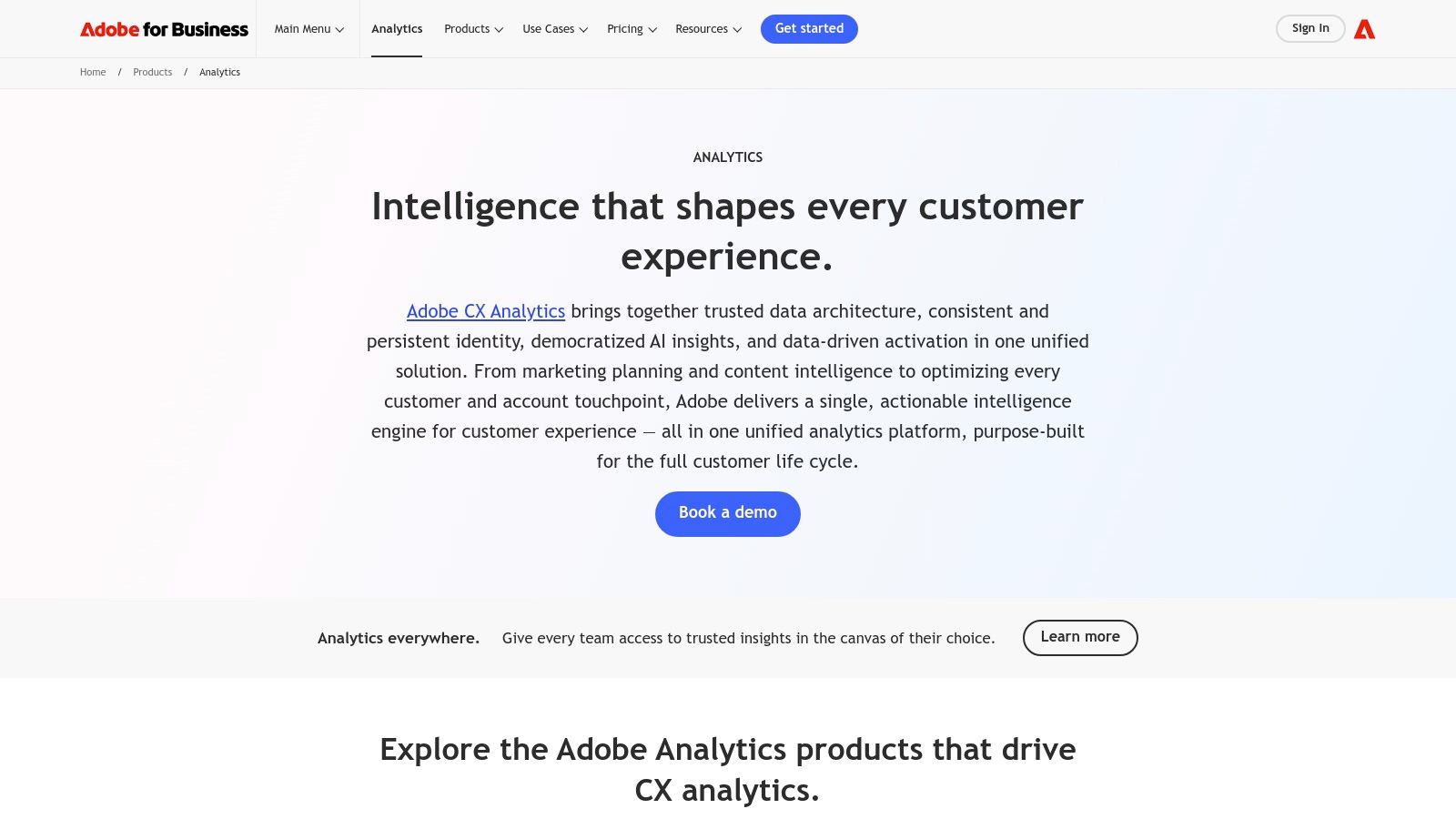 Adobe Analytics (Adobe Experience Cloud)