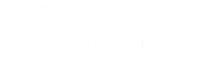 client image