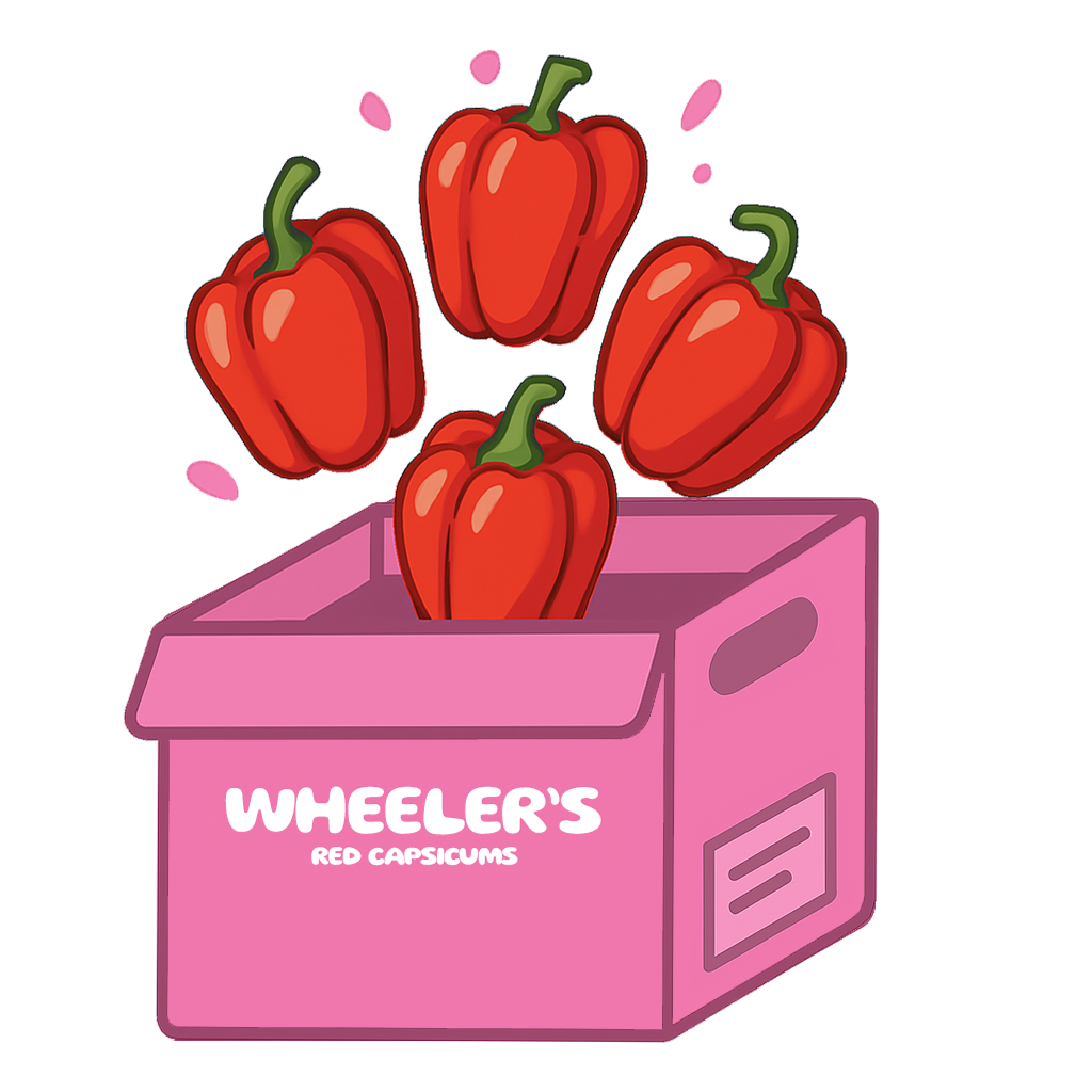 Illustrated Wheeler’s Warlock farm produce box in pink and red, filled with vibrant red capsicums. The box features the Wheeler’s Warlock logo and farm branding, styled in a hand-drawn, rustic design.