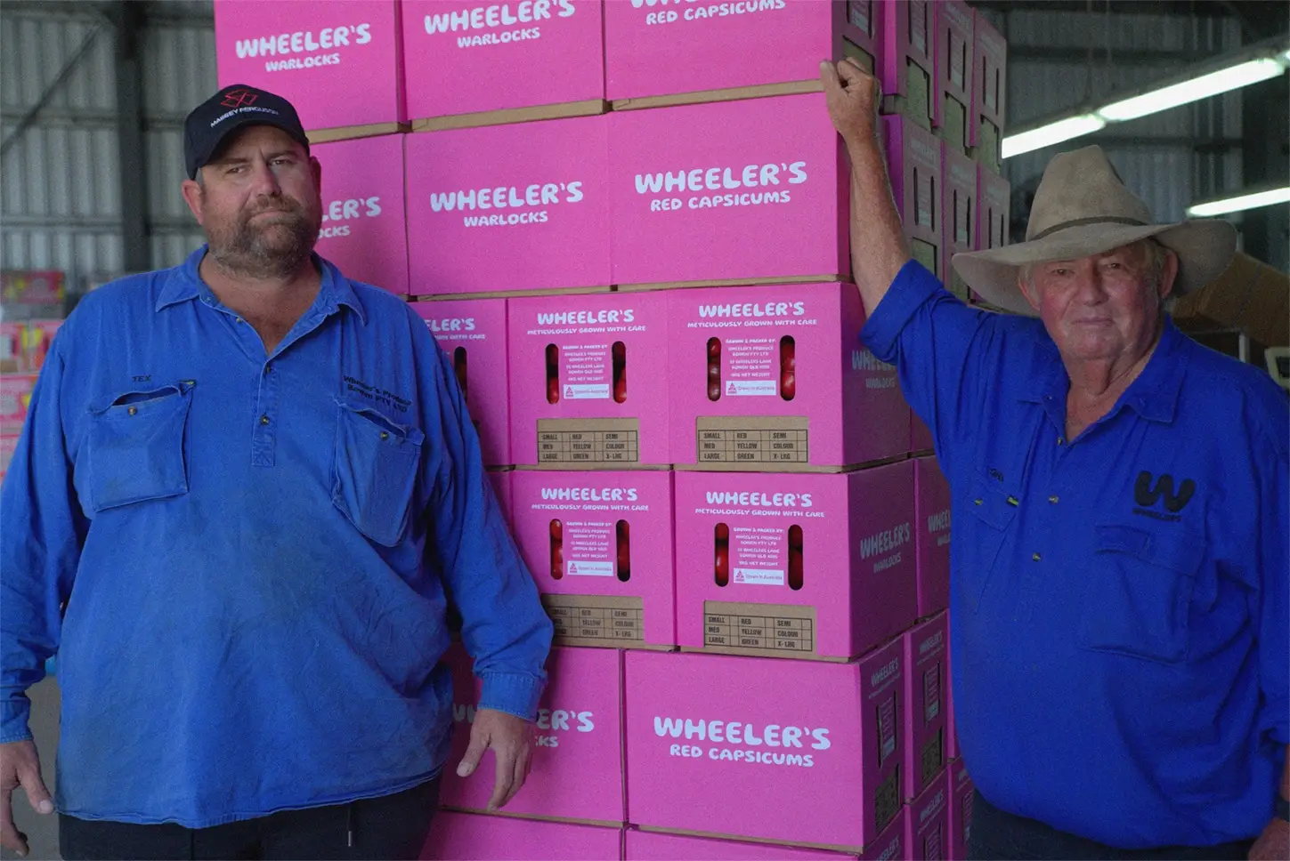 Tex and Greg standing proudly beside a pallet of red capsicums packed in pink Wheeler’s Warlock boxes, showcasing their good eye for produce that will look great on the shelf.