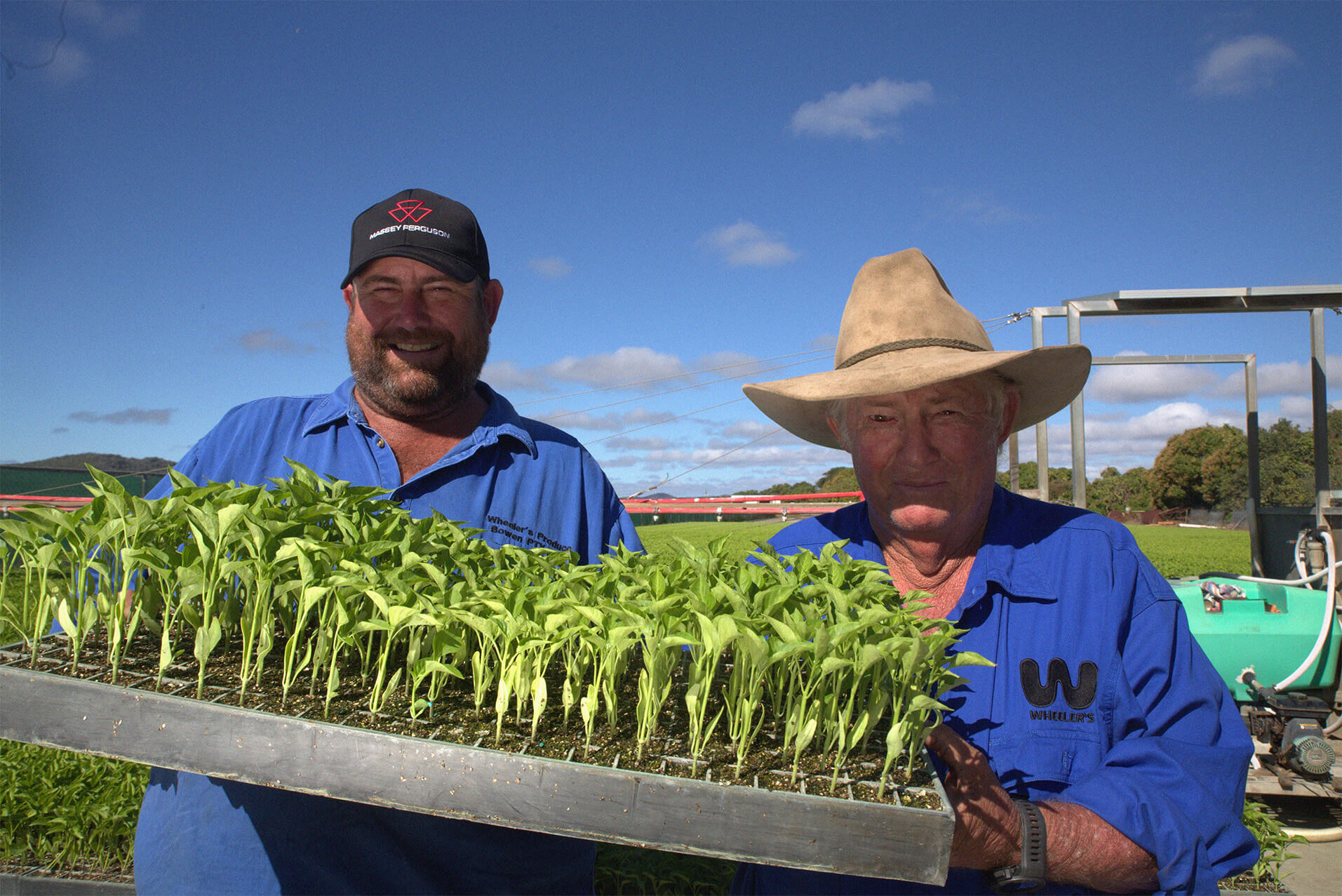 Tex and Greg, Wheeler’s Warlocks farmers in Bowen, Queensland, holding young red capsicum saplings in the sun on their family farm.