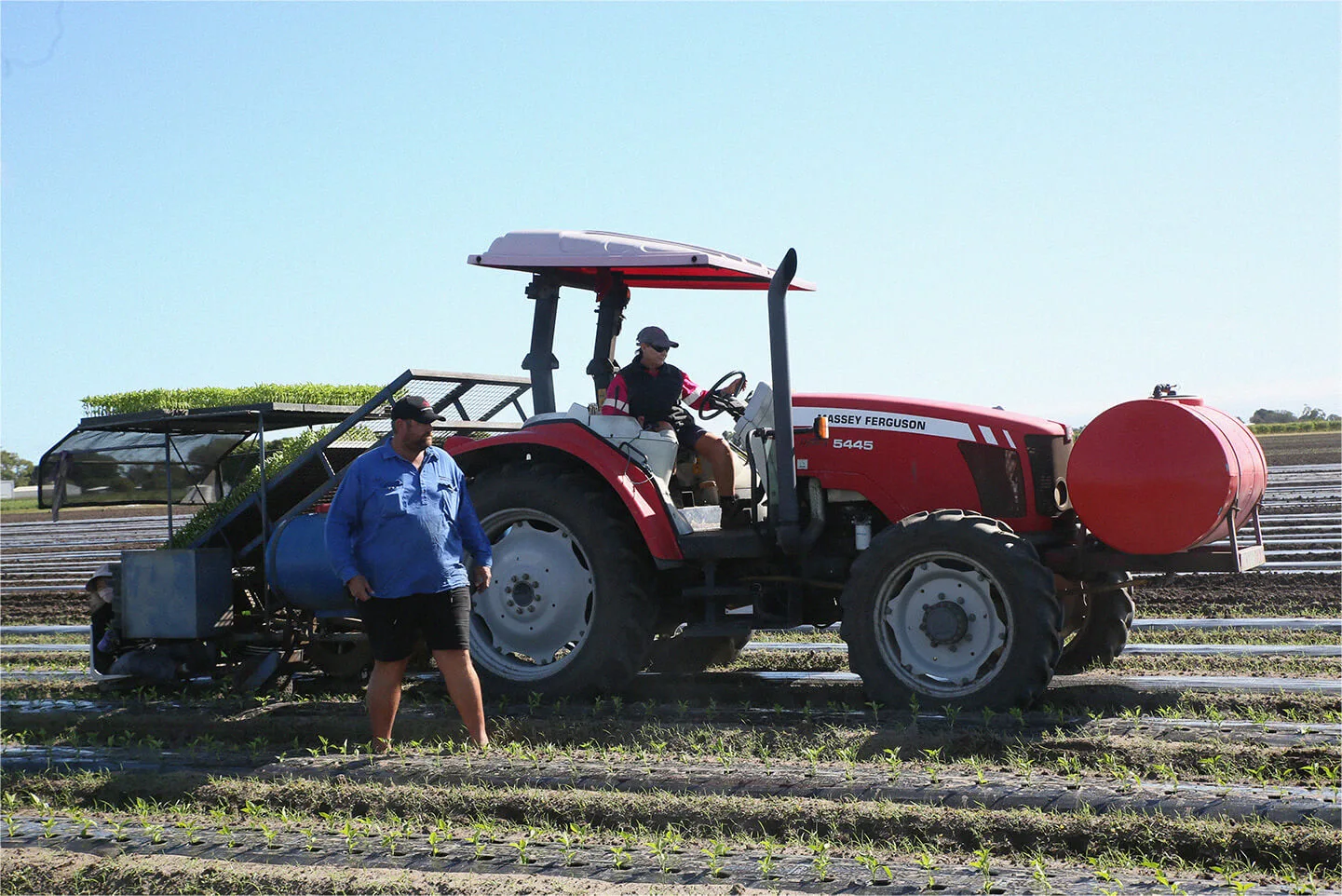 Tex standing beside a tractor in Bowen, Queensland, planting capsicum seedlings into the soil.