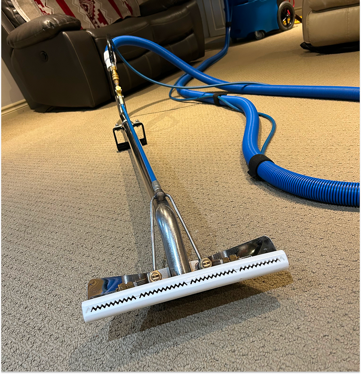 Is Professional Carpet Cleaning Worth It?