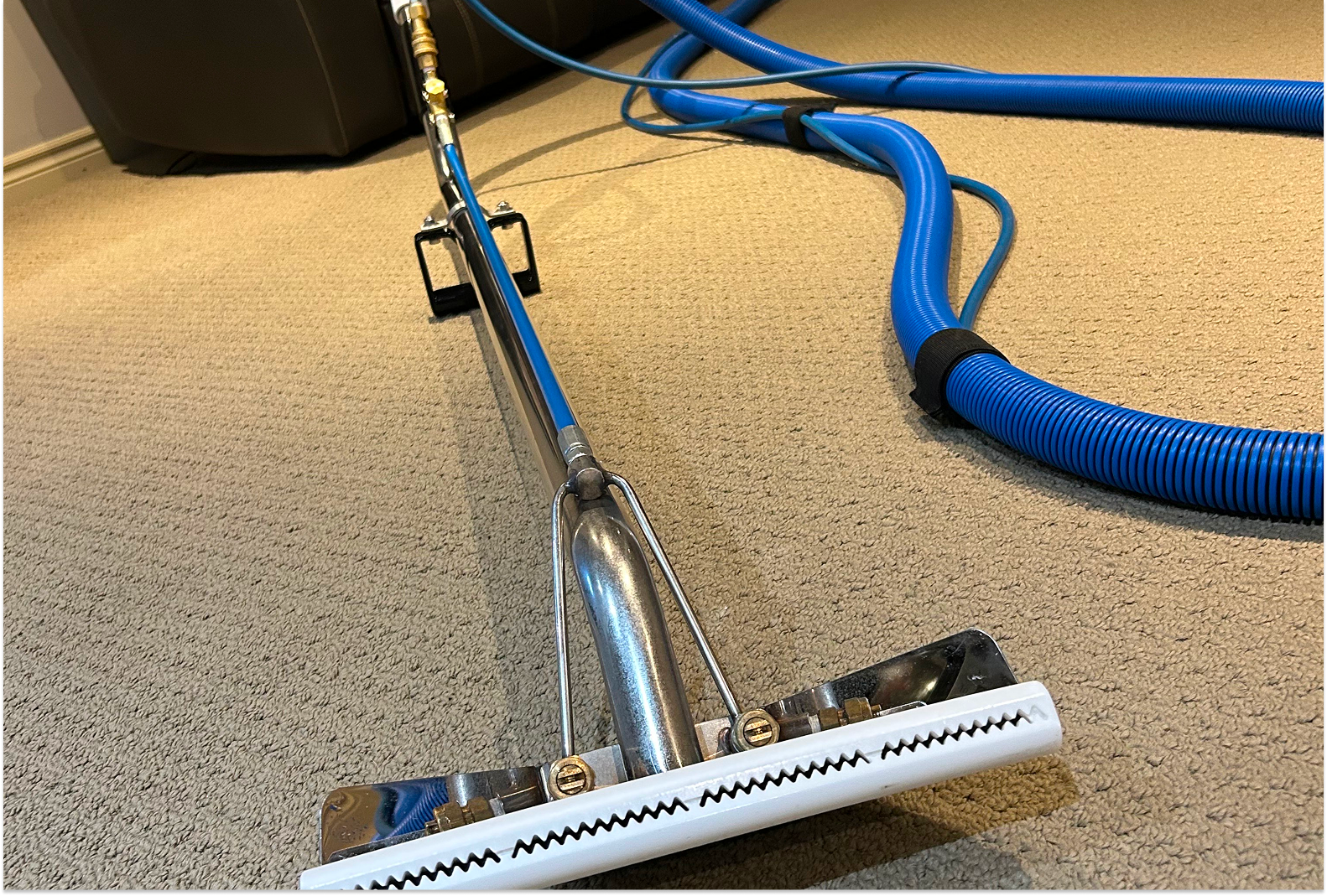 Is Professional Carpet Cleaning Worth It?