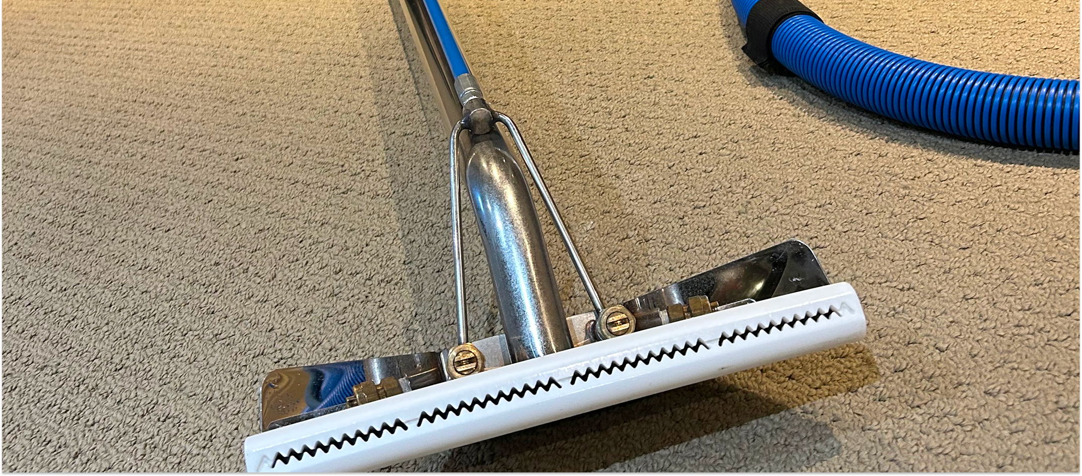 Is Professional Carpet Cleaning Worth It?