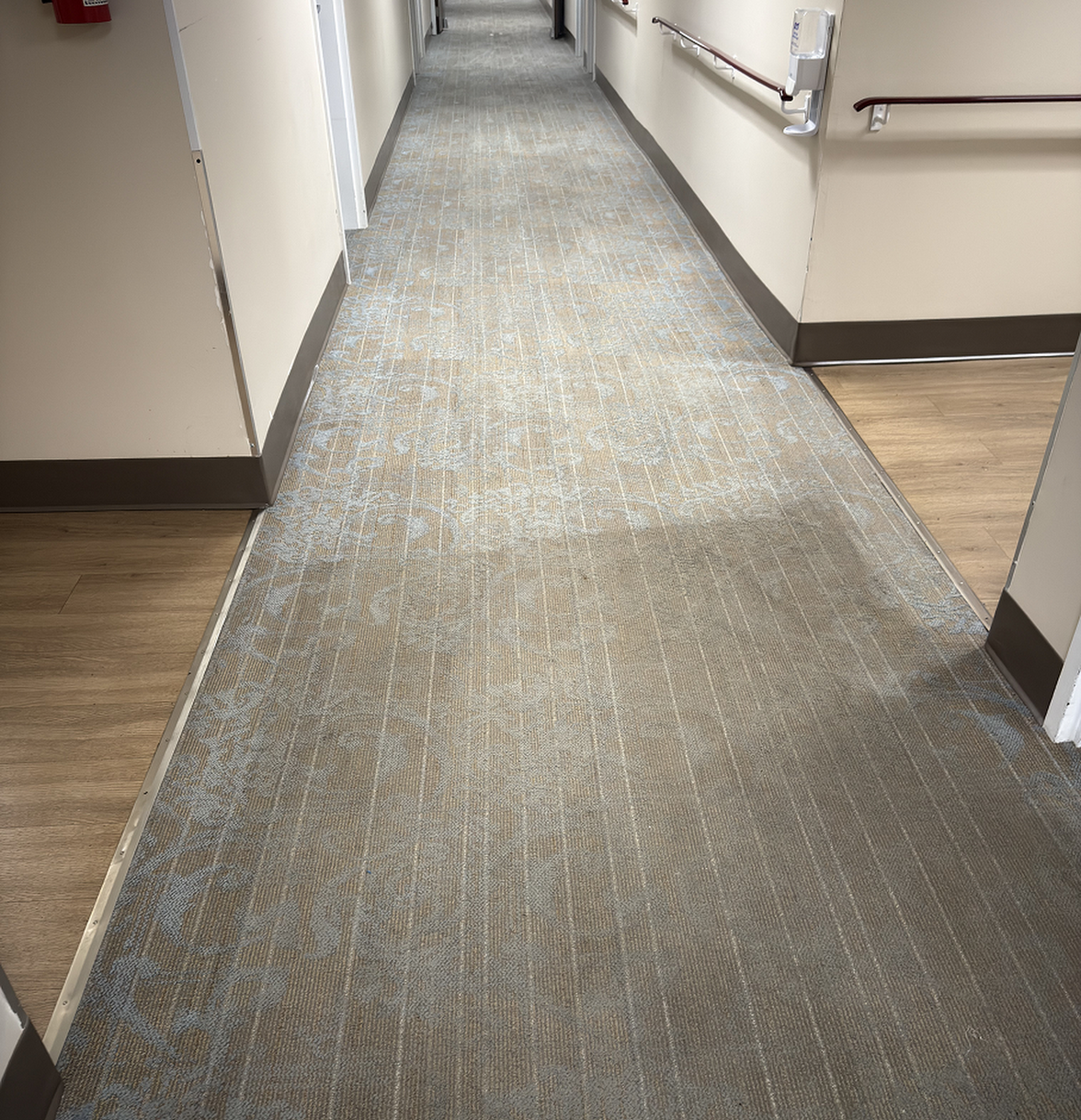 5 Critical Benefits of Professional Commercial Carpet Cleaning