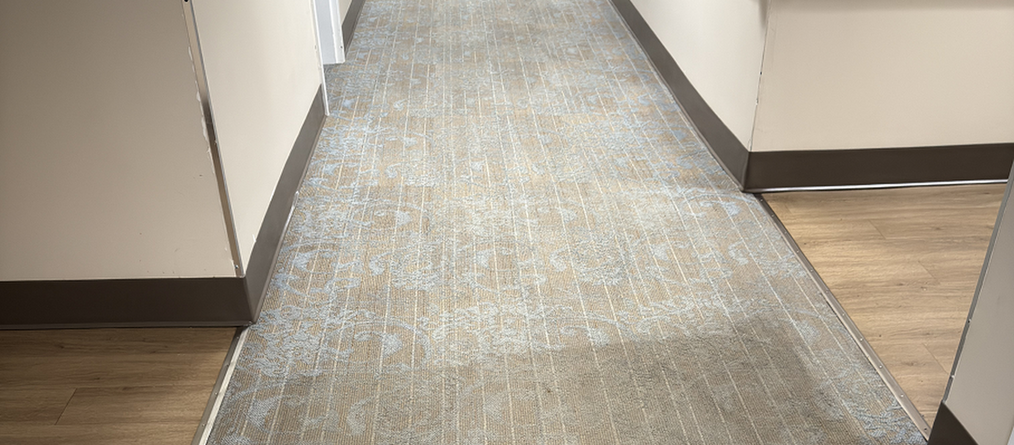 5 Critical Benefits of Professional Commercial Carpet Cleaning