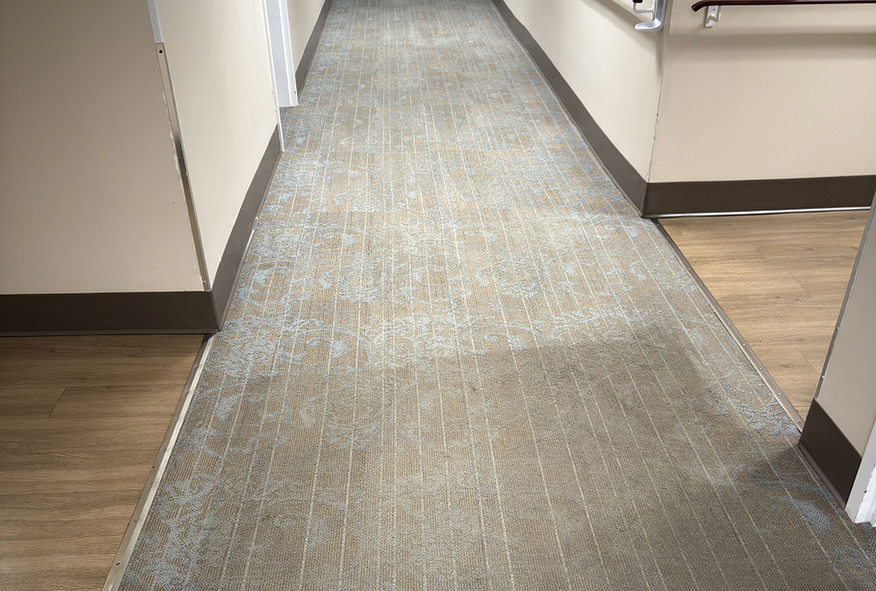 5 Critical Benefits of Professional Commercial Carpet Cleaning