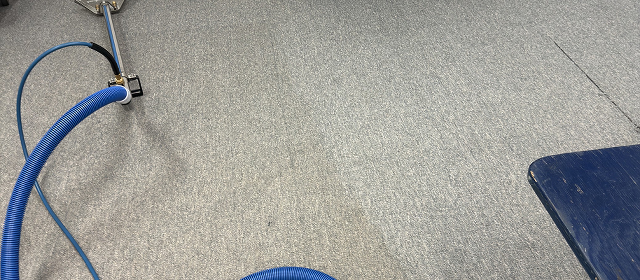 Move-Out Carpet Cleaning in Ottawa: Protect Your Deposit