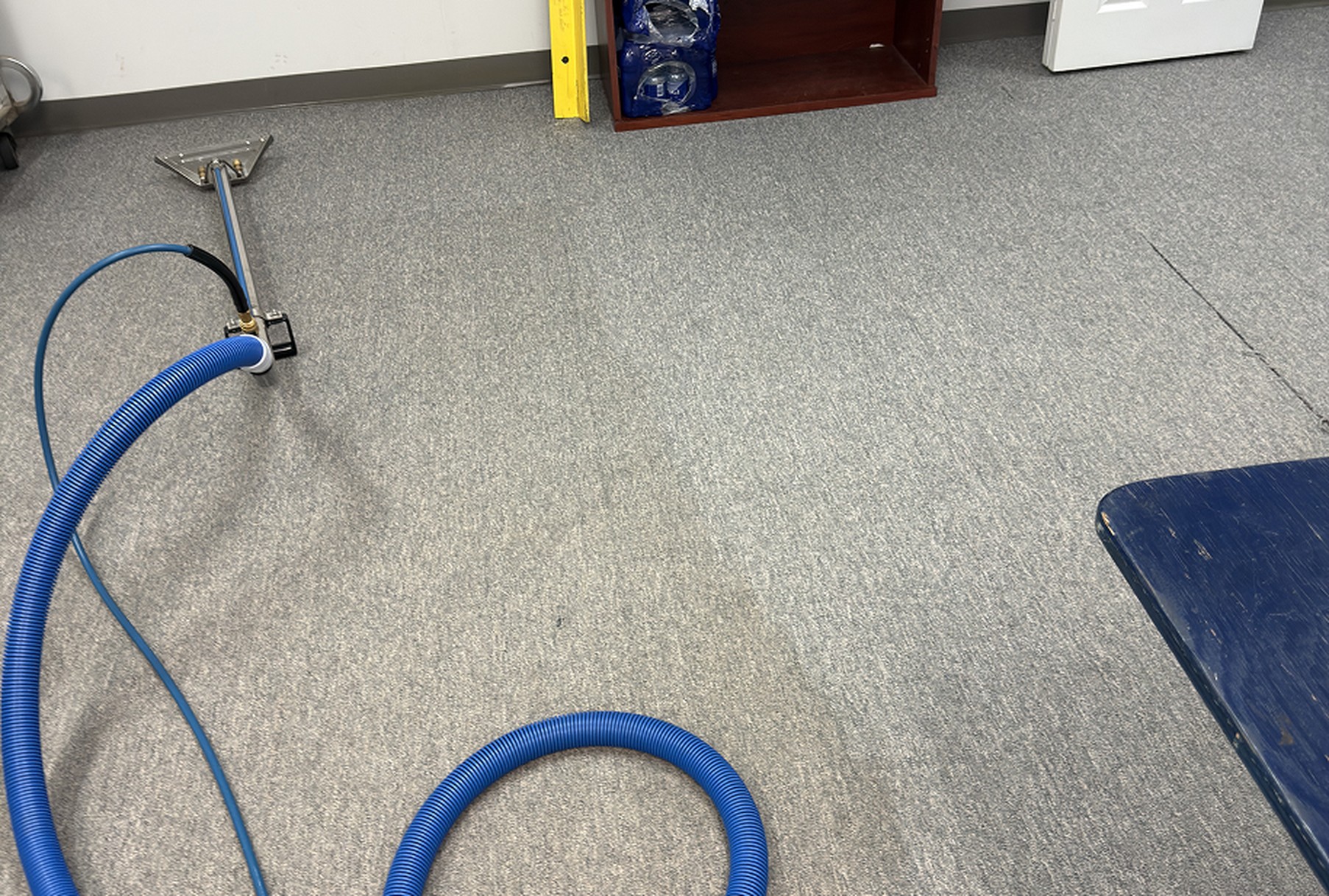 Move-Out Carpet Cleaning in Ottawa: Protect Your Deposit