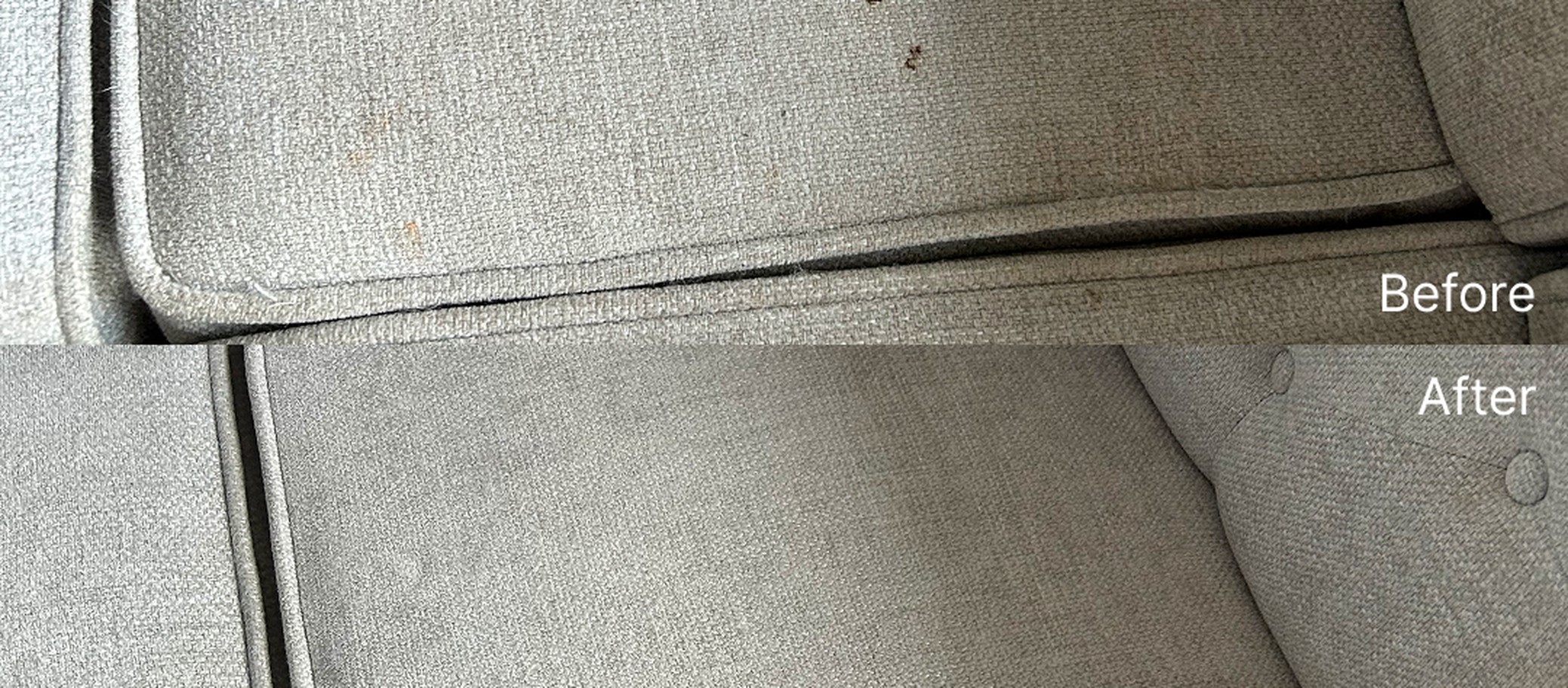 Pet Stains on Furniture: What Ottawa Pet Owners Need to Know