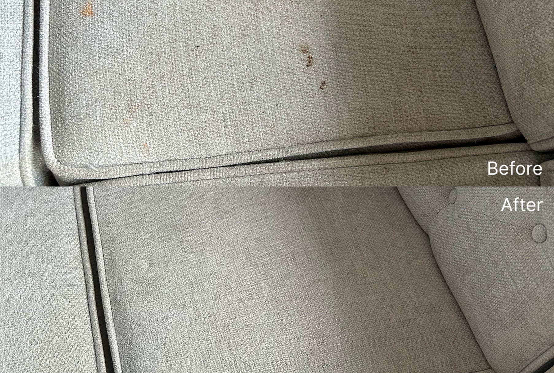 Pet Stains on Furniture: What Ottawa Pet Owners Need to Know