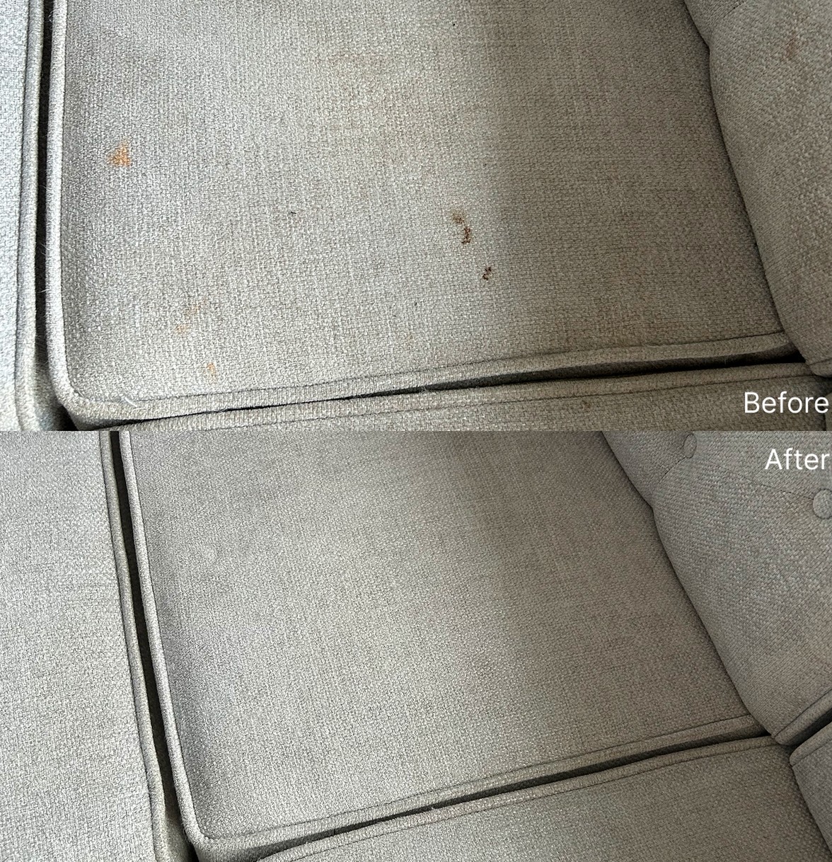 Pet Stains on Furniture: What Ottawa Pet Owners Need to Know