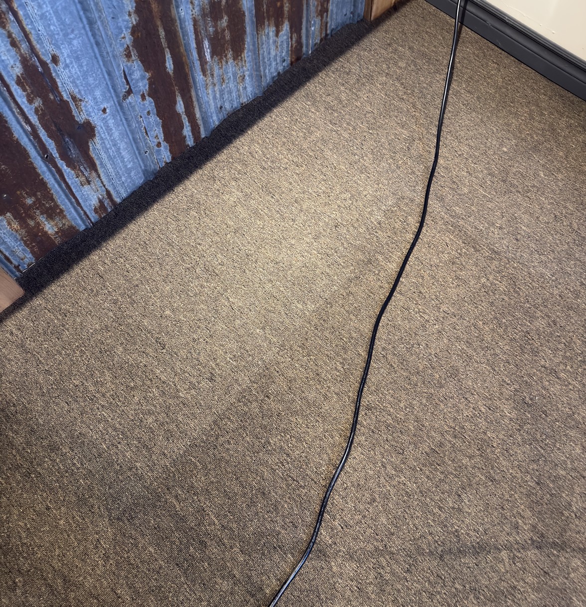 Carpet Cleaning vs. Replacement in Ottawa