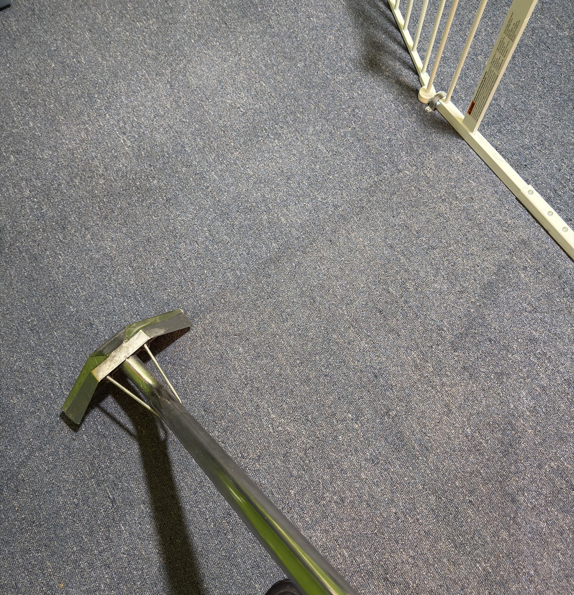 How Much Does Carpet Cleaning Cost in Ottawa?