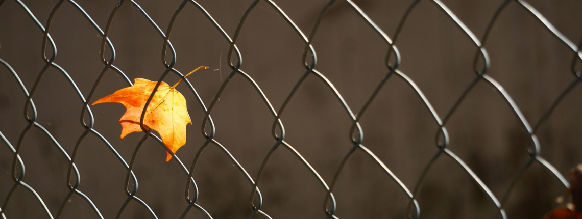 Single autumn leaf caught in a wire fence — symbolising ideas stuck in overthinking instead of moving forward.
