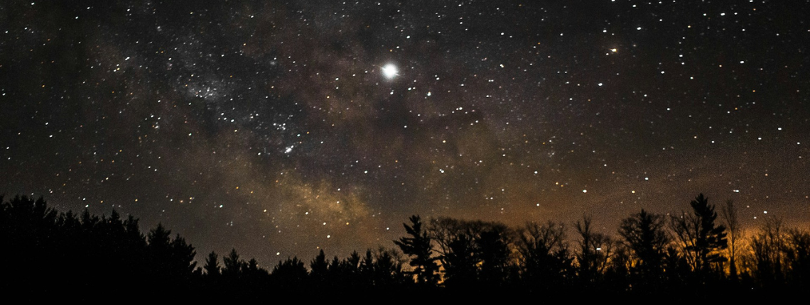 Star-filled night sky with trees silhouetted below — symbolising a clear north star guiding teams towards strategic alignment.