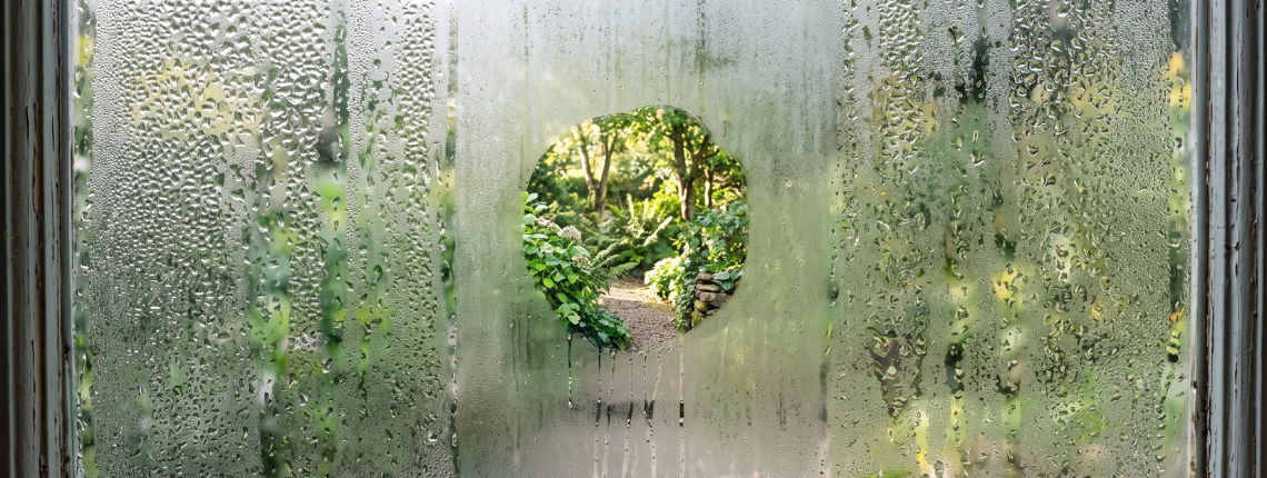A fogged window with one patch wiped clear, showing a bright garden through the glass.