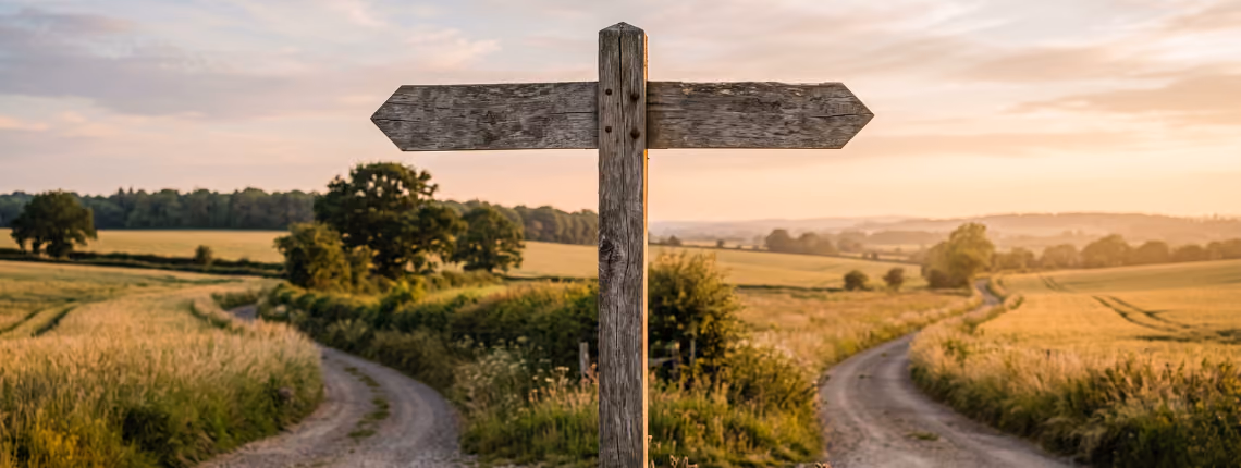 A weathered wooden signpost with blank arms at a fork in a country road, in warm evening light.