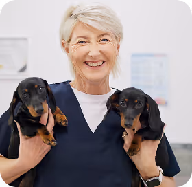 Service hero small image