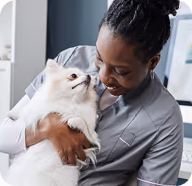 Service hero small image