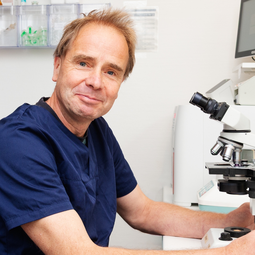 Dr. Hauke Brandenburger