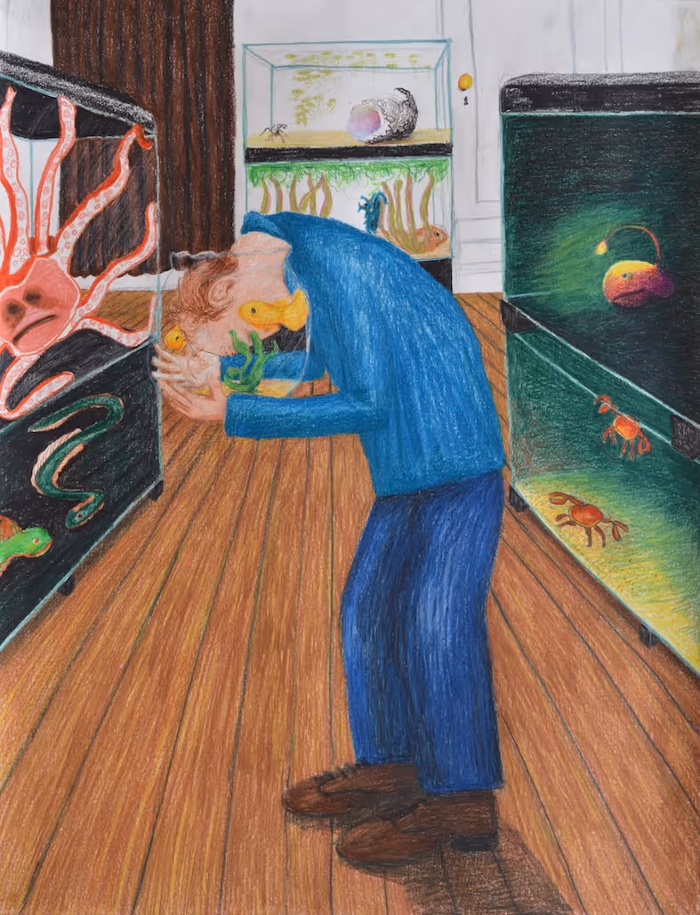 Verdwaald in de Dierenwinkel